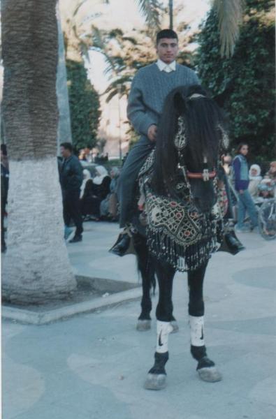 ahmed  elalami